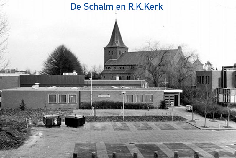 Road crossing the forest