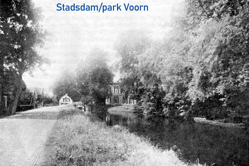 Horses on a landscap