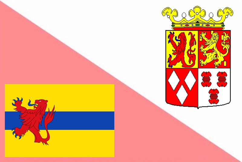 Road crossing the forest